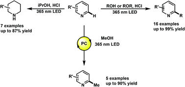 Graphical abstract: The photochemical alkylation and reduction of heteroarenes