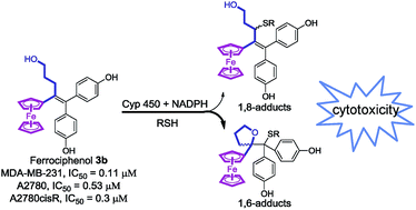 Graphical abstract: A new generation of ferrociphenols leads to a great diversity of reactive metabolites, and exhibits remarkable antiproliferative properties