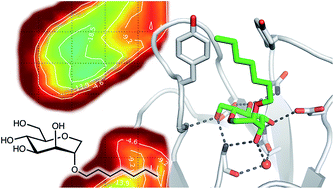 Graphical abstract: The price of flexibility – a case study on septanoses as pyranose mimetics
