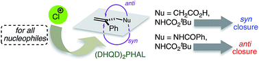 Graphical abstract: Absolute and relative facial selectivities in organocatalytic asymmetric chlorocyclization reactions