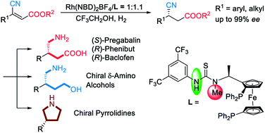 Graphical abstract: Rhodium-catalyzed asymmetric hydrogenation of β-cyanocinnamic esters with the assistance of a single hydrogen bond in a precise position