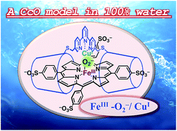 Graphical abstract: A water-soluble supramolecular complex that mimics the heme/copper hetero-binuclear site of cytochrome c oxidase