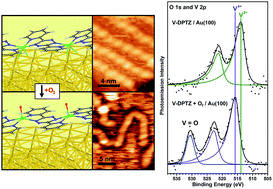 Graphical abstract: Redox-active ligand controlled selectivity of vanadium oxidation on Au(100)