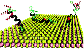 Graphical abstract: Molecular interactions between single layered MoS2 and biological molecules