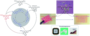 Graphical abstract: Two-photon fluorescent polysiloxane-based films with thermally responsive self switching properties achieved by a unique reversible spirocyclization mechanism