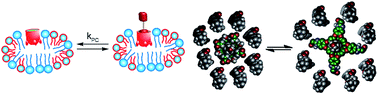 Graphical abstract: Lipid bilayer environments control exchange kinetics of deep cavitand hosts and enhance disfavored guest conformations
