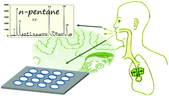 Graphical abstract: Discrimination of saturated alkanes and relevant volatile compounds via the utilization of a conceptual fluorescent sensor array based on organoboron-containing polymers