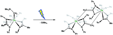 Graphical abstract: Insertion, protonolysis and photolysis reactivity of a thorium monoalkyl amidinate complex