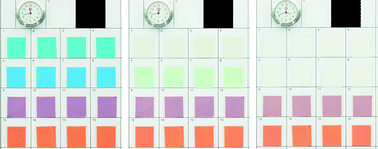 Graphical abstract: Digital imaging to simultaneously study device lifetimes of multiple dye-sensitized solar cells