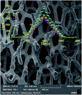 Graphical abstract: Iron oxide deposited on metallic nickel for water oxidation