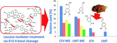 Graphical abstract: Laccase–natural mediator systems for “green” synthesis of phenolic monomers from alkali lignin
