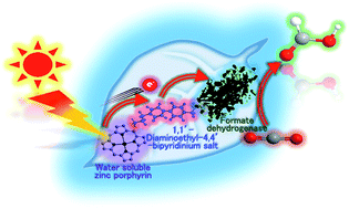 Graphical abstract: A novel electron carrier molecule based on a viologen derivative for visible light-driven CO2 reduction to formic acid with the system of zinc porphyrin and formate dehydrogenase