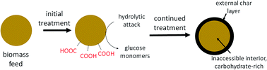 Graphical abstract: Formation of an external char layer during subcritical water hydrolysis of biomass