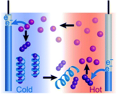 Graphical abstract: Thermo-electrochemical cells empowered by selective inclusion of redox-active ions by polysaccharides