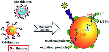 Graphical abstract: A microwave-assisted thermolysis route to single-step preparation of MoS2/CdS composite photocatalysts for active hydrogen generation