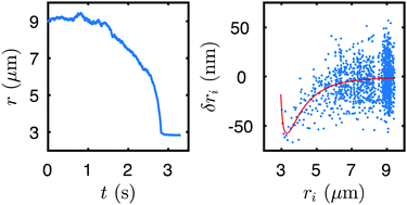 Graphical abstract: Maximum likelihood estimations of force and mobility from single short Brownian trajectories