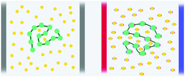 Graphical abstract: Statistical theory of polarizable target compound impregnation into a polymer coil under the influence of an electric field