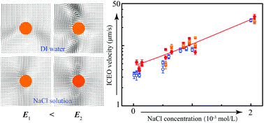 Graphical abstract: Electrolyte effect in induced charge electroosmosis