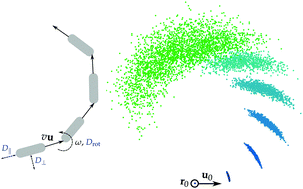 Graphical abstract: Intermediate scattering function of an anisotropic Brownian circle swimmer