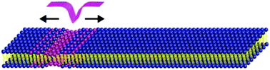 Graphical abstract: Propagation of a thermo-mechanical perturbation on a lipid membrane