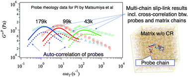 Graphical abstract: Primitive chain network simulations of probe rheology