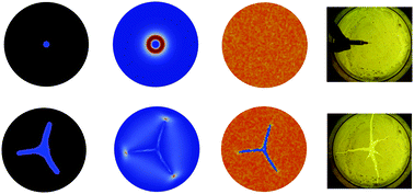 Graphical abstract: Influence of surface tension in the surfactant-driven fracture of closely-packed particulate monolayers