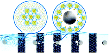 Graphical abstract: Translocation across a self-healing block copolymer membrane