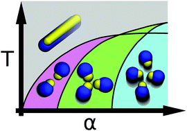 Graphical abstract: Self-assembled clusters of patchy rod-like molecules