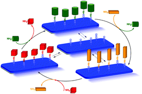 Graphical abstract: Surface immobilized azomethine for multiple component exchange