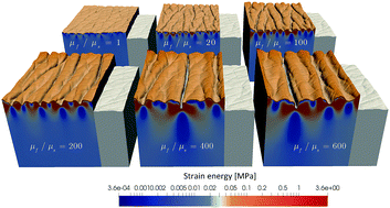 Graphical abstract: On skin microrelief and the emergence of expression micro-wrinkles