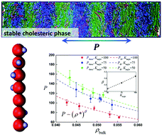 Graphical abstract: Cholesteric ordering predicted using a coarse-grained polymeric model with helical interactions