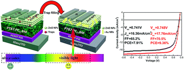 Graphical abstract: Combining plasmonic trap filling and optical backscattering for highly efficient third generation solar cells