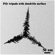 Graphical abstract: One-pot synthesis of PtIr tripods with a dendritic surface as an efficient catalyst for the oxygen reduction reaction