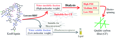 Graphical abstract: Molecular weight and uniformity define the mechanical performance of lignin-based carbon fiber