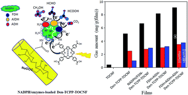 Graphical abstract: Photoinduced enzymatic conversion of CO2 gas to solar fuel on functional cellulose nanofiber films