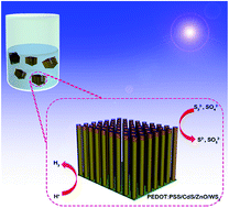 Graphical abstract: Freestanding nano-photoelectrode as a highly efficient and visible-light-driven photocatalyst for water-splitting