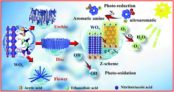 Graphical abstract: Elegant Z-scheme-dictated g-C3N4 enwrapped WO3 superstructures: a multifarious platform for versatile photoredox catalysis