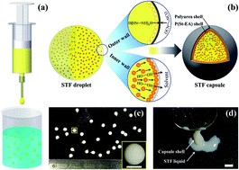Graphical abstract: Encapsulation of shear thickening fluid as an easy-to-apply impact-resistant material