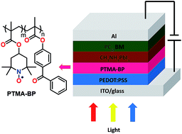 Graphical abstract: Radical polymers as interfacial layers in inverted hybrid perovskite solar cells