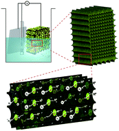 Graphical abstract: Aligned and stable metallic MoS2 on plasma-treated mass transfer channels for the hydrogen evolution reaction