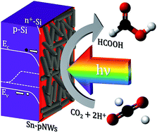 Graphical abstract: Photoelectrochemical reduction of CO2 to HCOOH on silicon photocathodes with reduced SnO2 porous nanowire catalysts