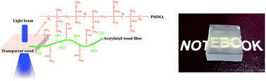 Graphical abstract: Towards centimeter thick transparent wood through interface manipulation