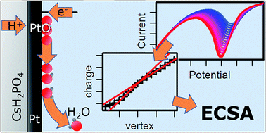 Graphical abstract: In situ determination of the electrochemically active platinum surface area: key to improvement of solid acid fuel cells