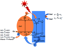 Graphical abstract: Designed synthesis of anatase–TiO2 (B) biphase nanowire/ZnO nanoparticle heterojunction for enhanced photocatalysis