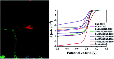 Graphical abstract: Biomass chitosan derived cobalt/nitrogen doped carbon nanotubes for the electrocatalytic oxygen reduction reaction