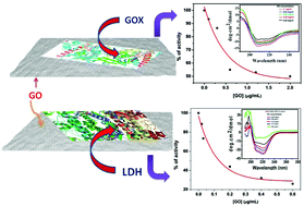 Graphical abstract: A comparative evaluation of the activity modulation of flavo and non-flavo enzymes induced by graphene oxide