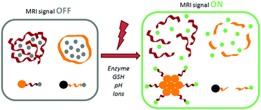 Graphical abstract: Activatable probes for diagnosis and biomarker detection by MRI