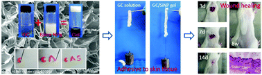 Graphical abstract: Injectable tissue adhesive composite hydrogel with fibroblasts for treating skin defects