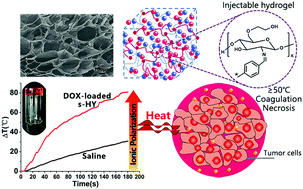Graphical abstract: An injectable ionic hydrogel inducing high temperature hyperthermia for microwave tumor ablation