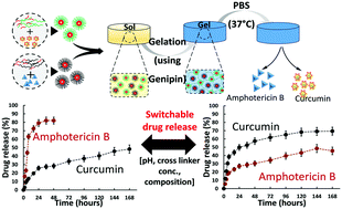Graphical abstract: Switchable release nano-reservoirs for co-delivery of drugs via a facile micelle–hydrogel composite
